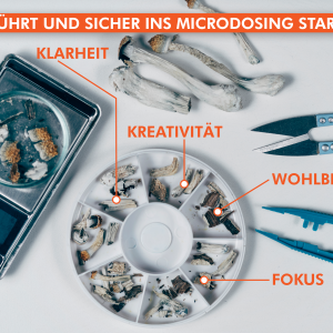 Microdosing Kurs