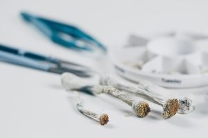 Psilocybin Microdosing: Begleiter für innere Prozesse?