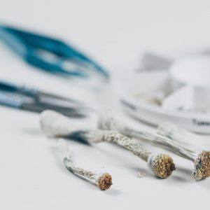 Begleitete Microdosing Reise