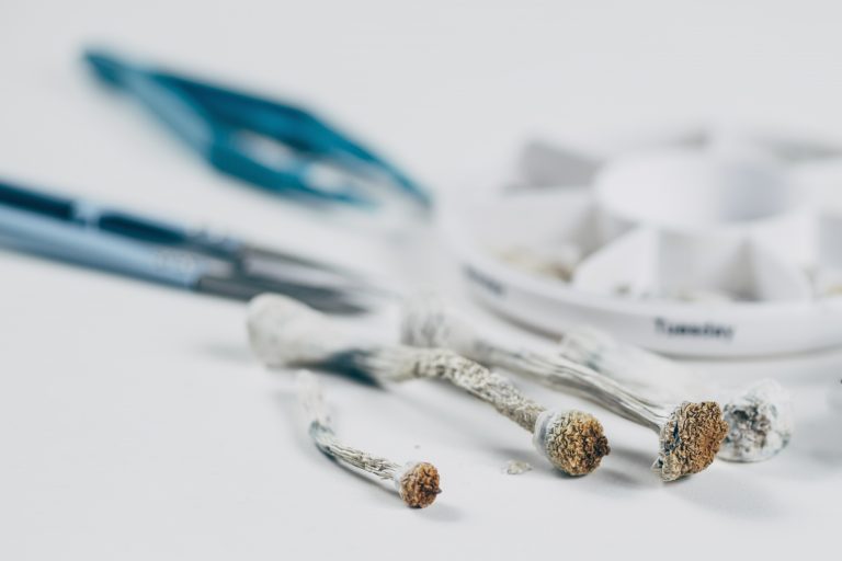 Psilocybin Microdosing: Begleiter für innere Prozesse?