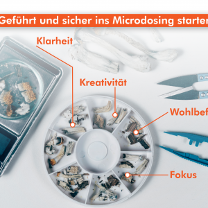 Microdosing Kurs