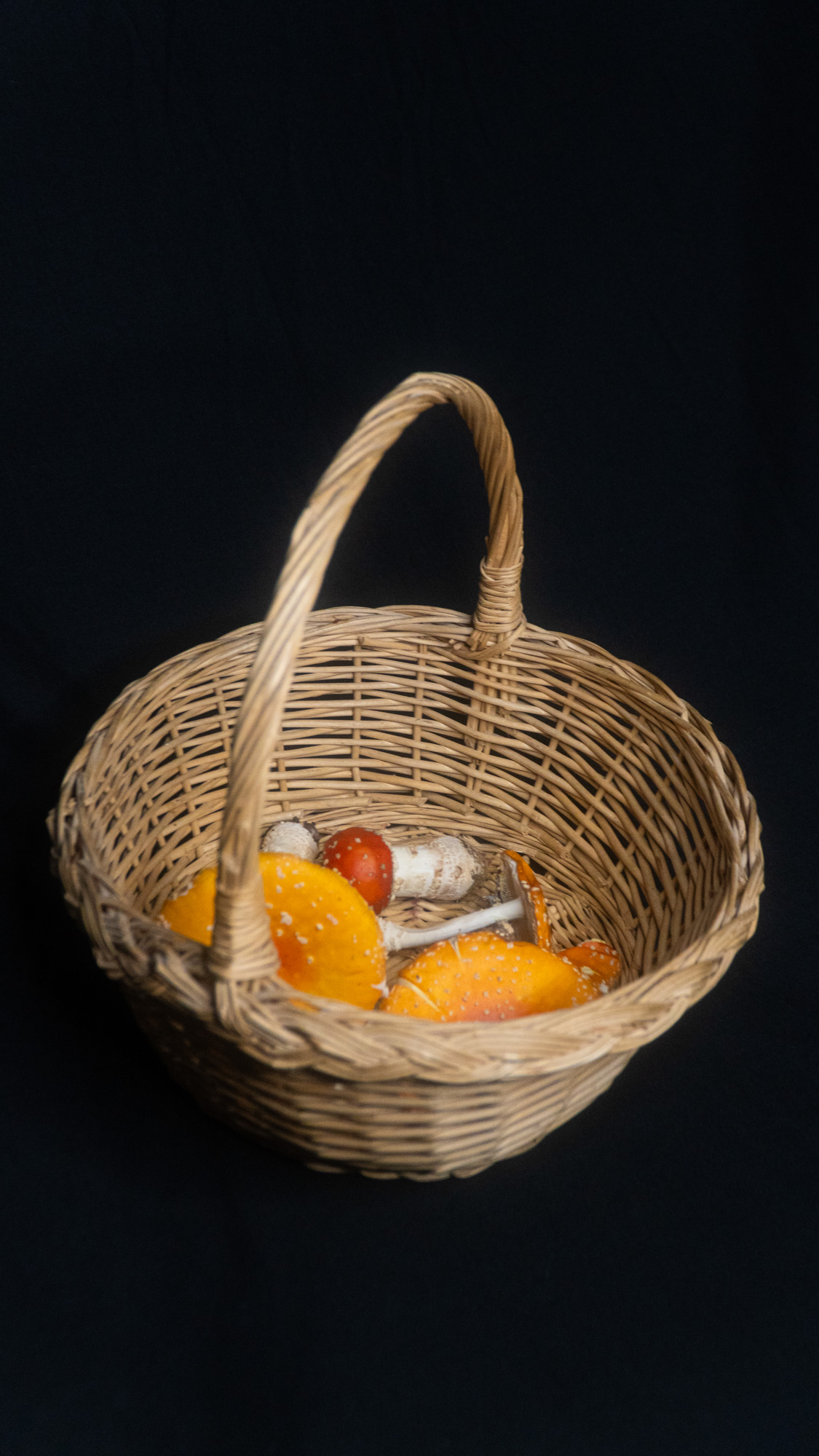 Sammelkorb mit Fliegenpilzen