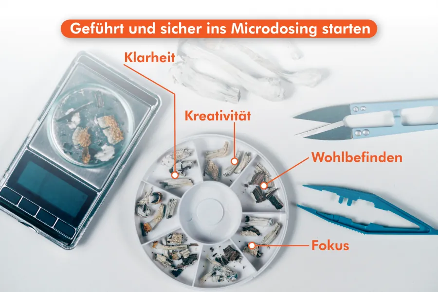 Geführt und sicher ins Microdosing starten – der Microdosing Kurs